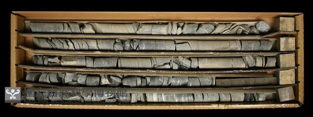 登錄號:C000736藏品圖，第2張