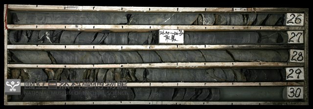 登錄號:C003382藏品圖，第1張