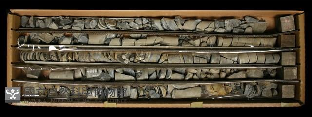 登錄號:C000782藏品圖，第2張