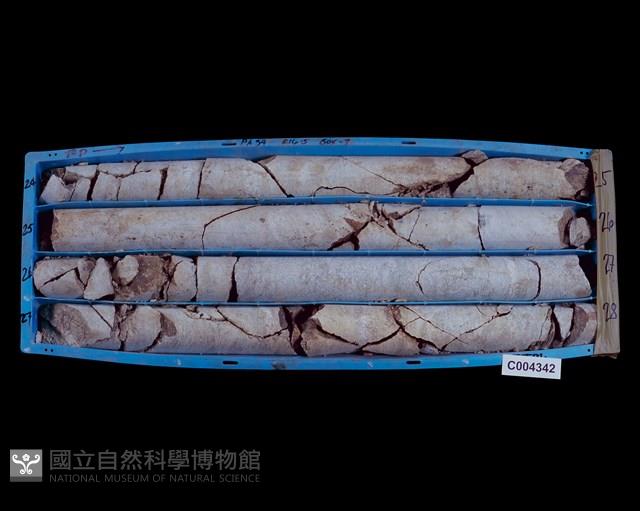 登錄號:C004342藏品圖，第1張