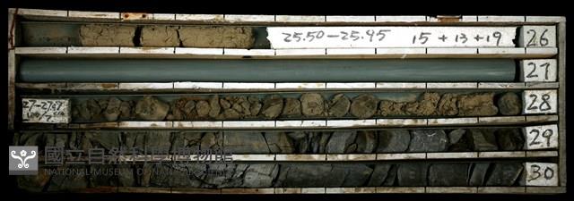 登錄號:C003342藏品圖，第1張