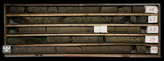 登錄號:C001572藏品圖，第2張