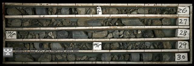 登錄號:C003352藏品圖，第1張