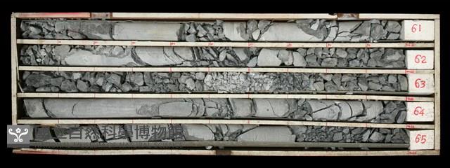 登錄號:C000452藏品圖，第1張