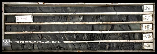 登錄號:C003452藏品圖，第1張