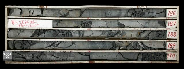 登錄號:C000512藏品圖，第2張