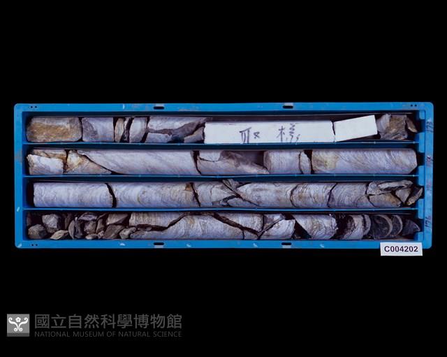 Accession Number:C004202 Collection Image, Figure 1, Total 2 Figures