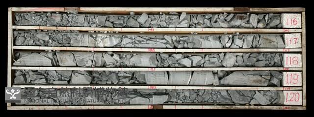 Accession Number:C000532 Collection Image, Figure 2, Total 2 Figures