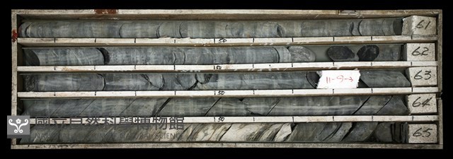 登錄號:C003532藏品圖，第1張