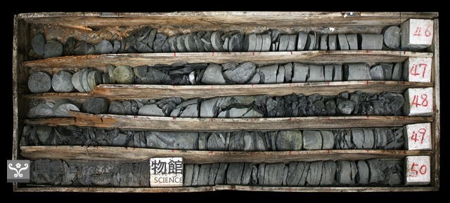 登錄號:C003632藏品圖，第1張
