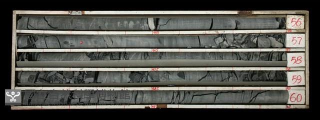 登錄號:C000520藏品圖，第2張