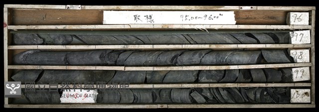 登錄號:C003420藏品圖，第1張