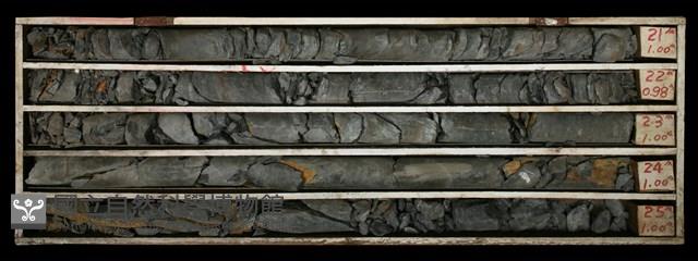 登錄號:C000620藏品圖，第2張