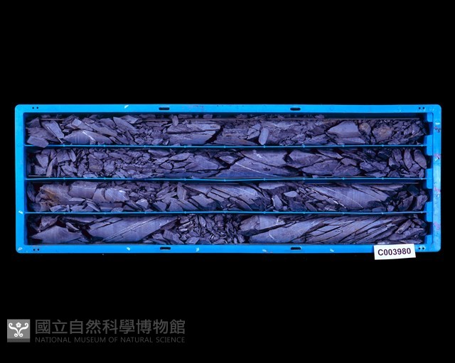 登錄號:C003980藏品圖，第1張