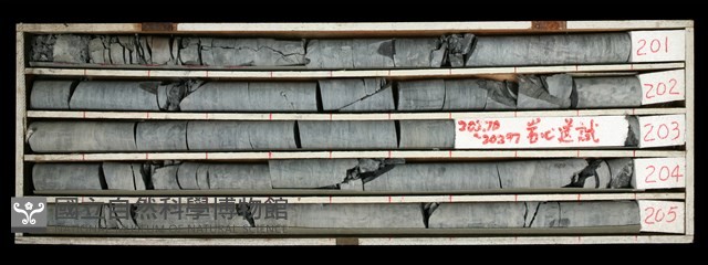 登錄號:C000480藏品圖，第1張