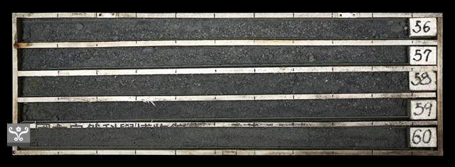 登錄號:C003680藏品圖，第1張