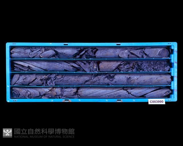 登錄號:C003990藏品圖，第1張