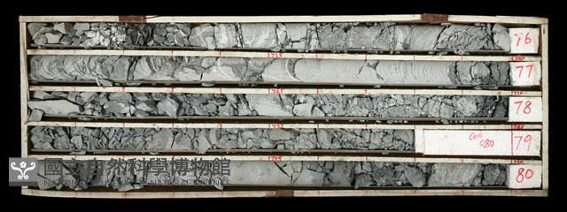 登錄號:C000490藏品圖，第1張