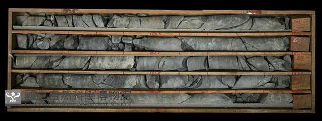 登錄號:C000690藏品圖，第2張