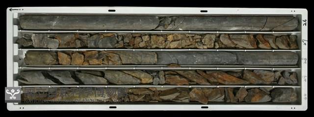 登錄號:C000560藏品圖，第2張