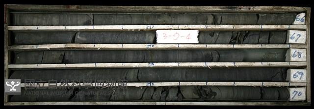 登錄號:C003370藏品圖，第1張