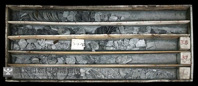 登錄號:C003570藏品圖，第1張