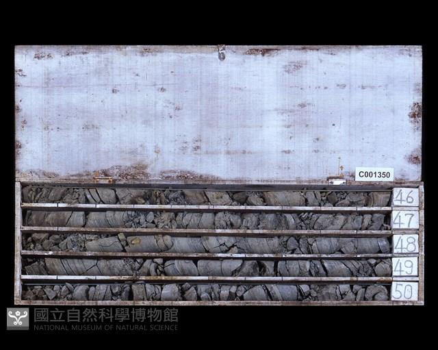 登錄號:C001350藏品圖，第2張