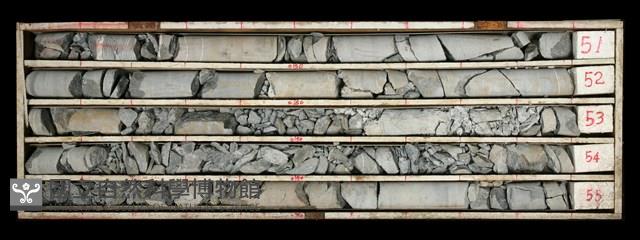 登錄號:C000450藏品圖，第1張