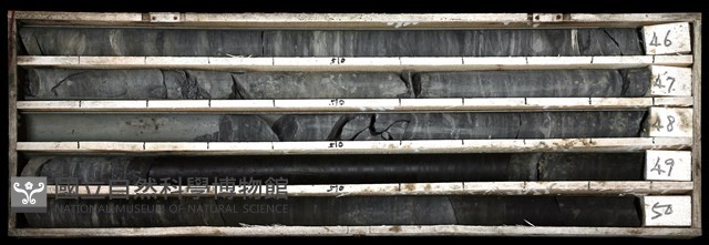 登錄號:C003450藏品圖，第1張