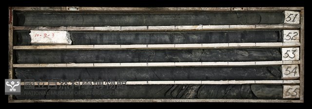 登錄號:C003510藏品圖，第1張