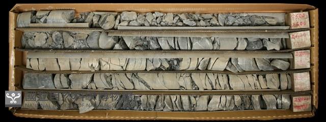 Accession Number:C000710 Collection Image, Figure 2, Total 2 Figures