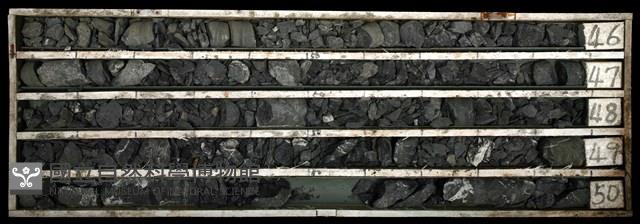 登錄號:C003410藏品圖，第1張