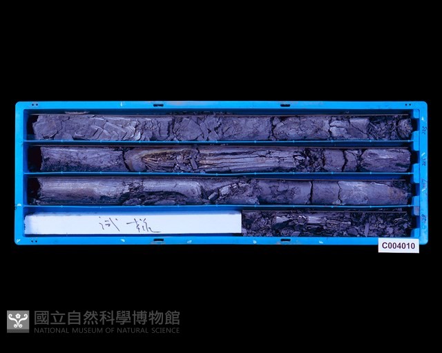 登錄號:C004010藏品圖，第1張