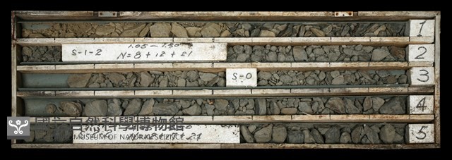 登錄號:C003500藏品圖，第1張