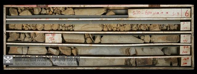 Accession Number:C000600 Collection Image, Figure 2, Total 2 Figures