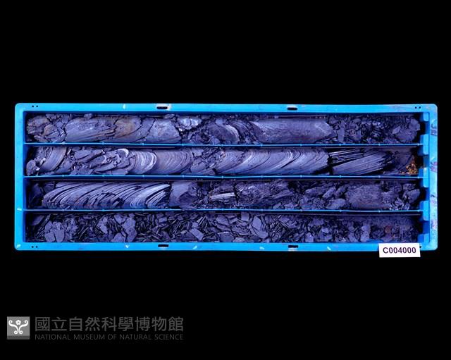 登錄號:C004000藏品圖，第1張