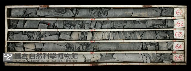 登錄號:C000521藏品圖，第2張