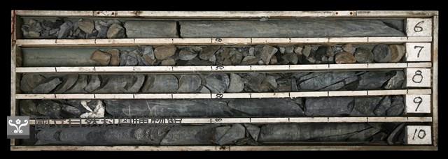 Accession Number:C003521 Collection Image