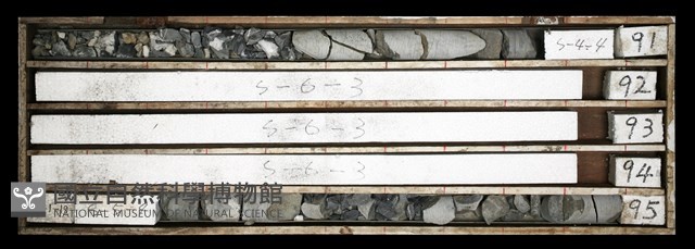 登錄號:C003621藏品圖，第1張