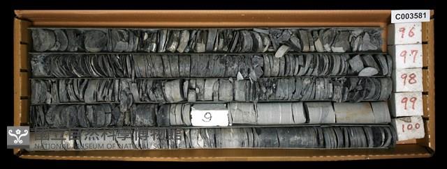 登錄號:C003581藏品圖，第1張