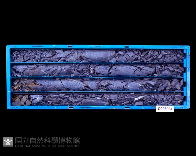 登錄號:C003981藏品圖，第1張