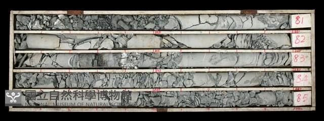登錄號:C000491藏品圖，第1張