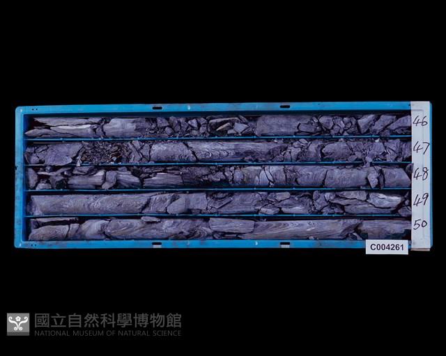 登錄號:C004261藏品圖，第2張