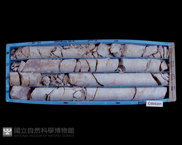 登錄號:C004341藏品圖，第2張