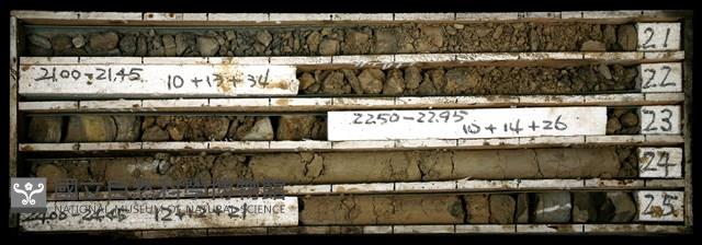 登錄號:C003341藏品圖，第1張