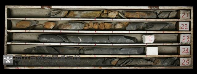 Accession Number:C000541 Collection Image, Figure 2, Total 2 Figures