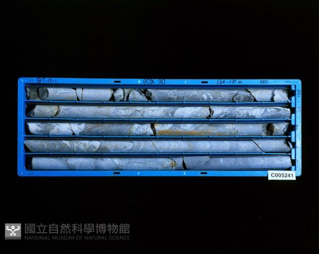 登錄號:C005241藏品圖，第2張