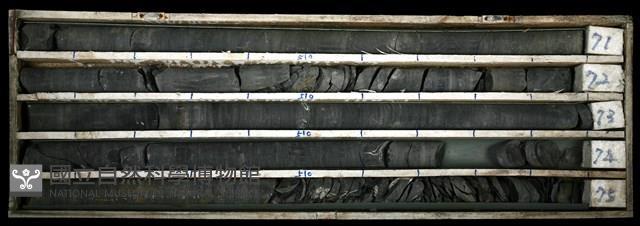 登錄號:C003371藏品圖，第1張