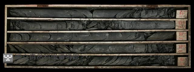 登錄號:C000571藏品圖，第2張