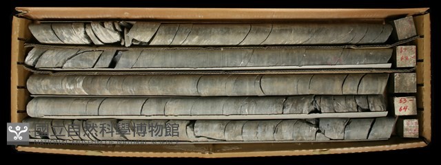登錄號:C000771藏品圖，第2張